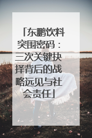 东鹏饮料突围密码：三次关键抉择背后的战略远见与社会责任