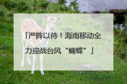 严阵以待！海南移动全力迎战台风“蝴蝶”