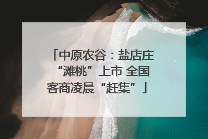 中原农谷：盐店庄“滩桃”上市 全国客商凌晨“赶集”