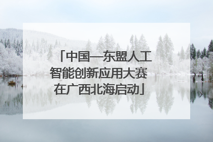 中国—东盟人工智能创新应用大赛在广西北海启动