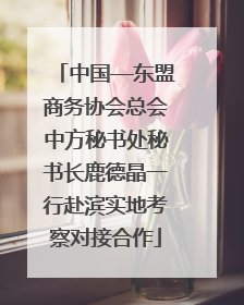 中国—东盟商务协会总会中方秘书处秘书长鹿德晶一行赴滨实地考察对接合作