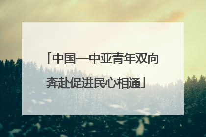 中国—中亚青年双向奔赴促进民心相通