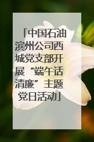 中国石油滨州公司西城党支部开展“端午话清廉”主题党日活动