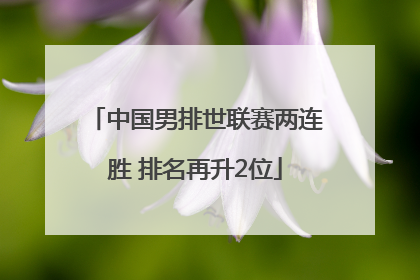 中国男排世联赛两连胜 排名再升2位