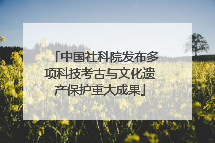 中国社科院发布多项科技考古与文化遗产保护重大成果