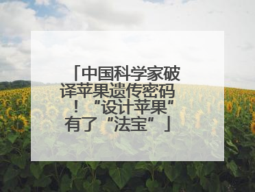 中国科学家破译苹果遗传密码！“设计苹果”有了“法宝”