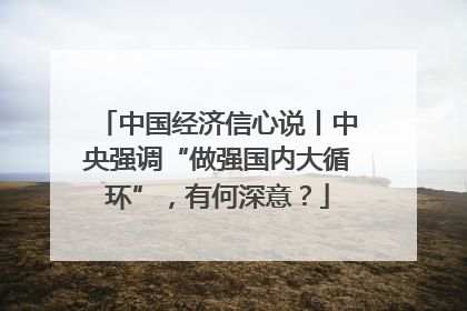 中国经济信心说丨中央强调“做强国内大循环”，有何深意？