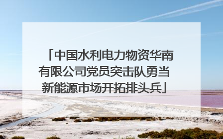 中国水利电力物资华南有限公司党员突击队勇当新能源市场开拓排头兵