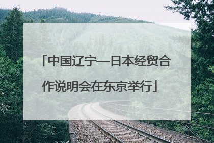 中国辽宁—日本经贸合作说明会在东京举行