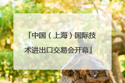 中国（上海）国际技术进出口交易会开幕