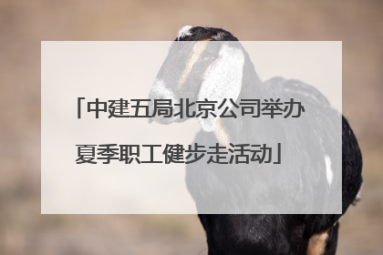 中建五局北京公司举办夏季职工健步走活动