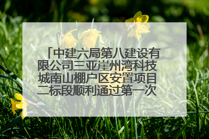 中建六局第八建设有限公司三亚崖州湾科技城南山棚户区安置项目二标段顺利通过第一次主体结构验收