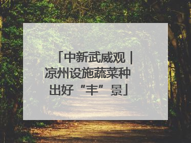 中新武威观｜凉州设施蔬菜种出好“丰”景