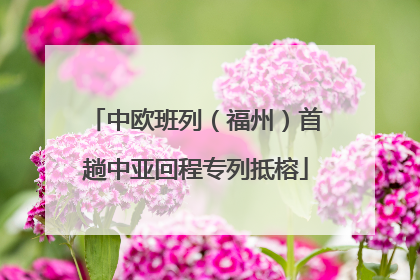 中欧班列（福州）首趟中亚回程专列抵榕