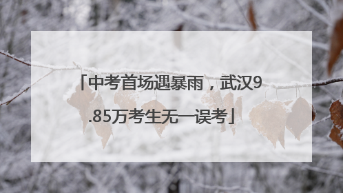 中考首场遇暴雨，武汉9.85万考生无一误考