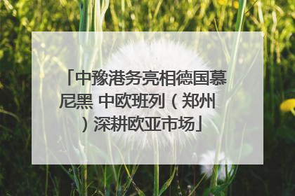 中豫港务亮相德国慕尼黑 中欧班列（郑州）深耕欧亚市场