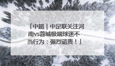 中超｜中足联关注河南vs蓉城极端球迷不当行为：强烈谴责！