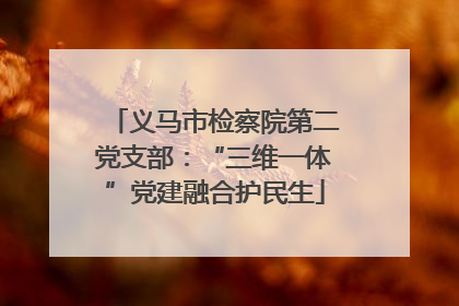 义马市检察院第二党支部：“三维一体”党建融合护民生
