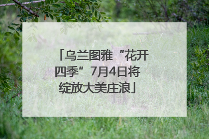 乌兰图雅“花开四季”7月4日将绽放大美庄浪
