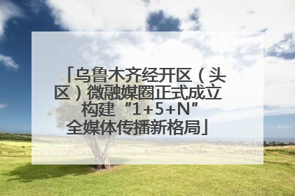 乌鲁木齐经开区（头区）微融媒圈正式成立 构建“1+5+N”全媒体传播新格局