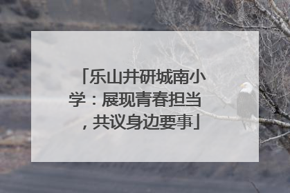 乐山井研城南小学：展现青春担当，共议身边要事
