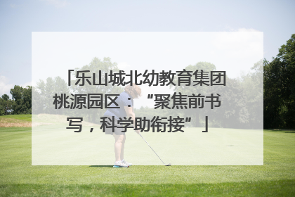 乐山城北幼教育集团桃源园区：“聚焦前书写，科学助衔接”