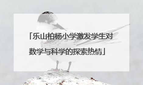 乐山柏杨小学激发学生对数学与科学的探索热情