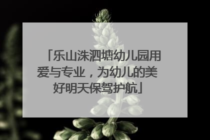 乐山洙泗塘幼儿园用爱与专业，为幼儿的美好明天保驾护航