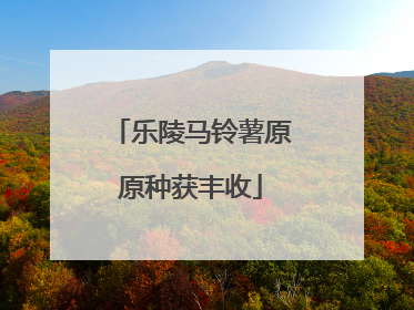 乐陵马铃薯原原种获丰收