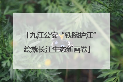 九江公安“铁腕护江”绘就长江生态新画卷