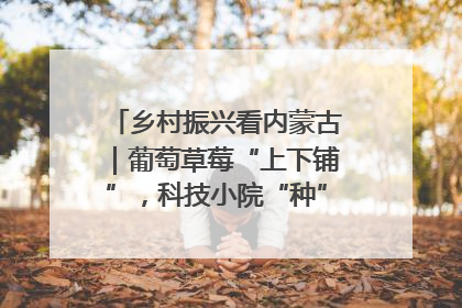乡村振兴看内蒙古｜葡萄草莓“上下铺”，科技小院“种”出三倍效益