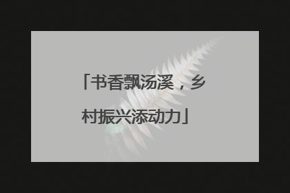 书香飘汤溪，乡村振兴添动力