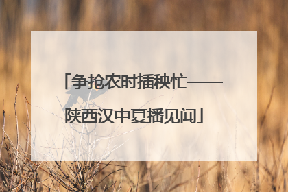 争抢农时插秧忙——陕西汉中夏播见闻