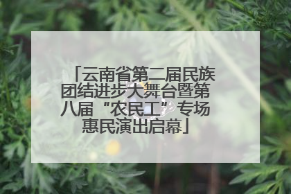 云南省第二届民族团结进步大舞台暨第八届“农民工”专场惠民演出启幕