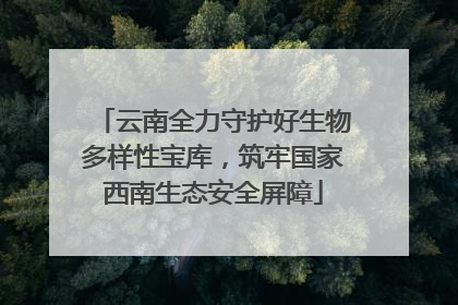 云南全力守护好生物多样性宝库，筑牢国家西南生态安全屏障