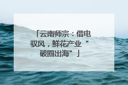 云南师宗：借电驭风，鲜花产业“破圈出海”