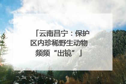 云南昌宁：保护区内珍稀野生动物频频“出镜”