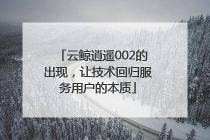 云鲸逍遥002的出现，让技术回归服务用户的本质