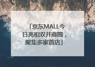 京东MALL今日亮相双井商圈，聚集多家首店