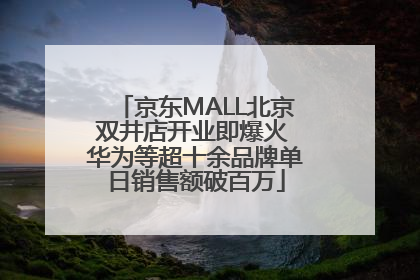 京东MALL北京双井店开业即爆火 华为等超十余品牌单日销售额破百万