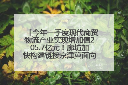今年一季度现代商贸物流产业实现增加值205.7亿元！廊坊加快构建链接京津冀面向全世界的物流通道
