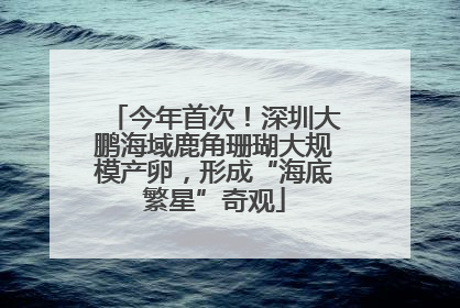 今年首次！深圳大鹏海域鹿角珊瑚大规模产卵，形成“海底繁星”奇观