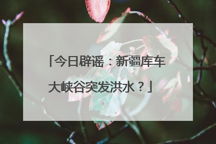 今日辟谣：新疆库车大峡谷突发洪水？