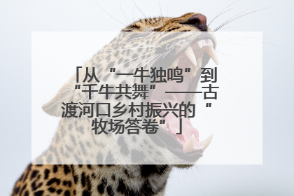 从“一牛独鸣”到“千牛共舞”——古渡河口乡村振兴的“牧场答卷”