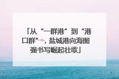 从“一群港”到“港口群”，盐城港向海图强书写崛起壮歌