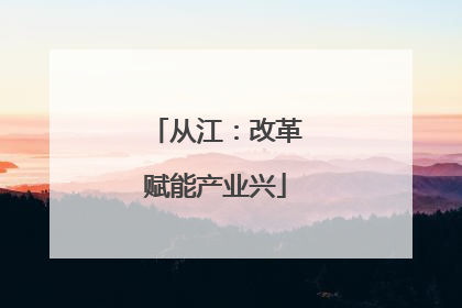 从江：改革赋能产业兴