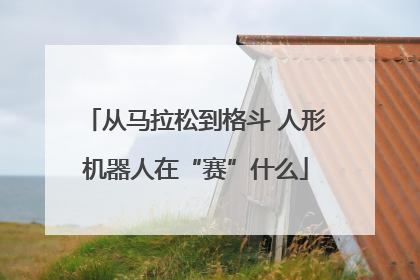 从马拉松到格斗 人形机器人在“赛”什么