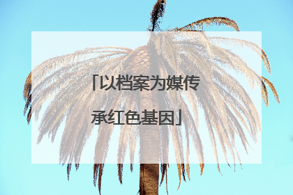 以档案为媒传承红色基因