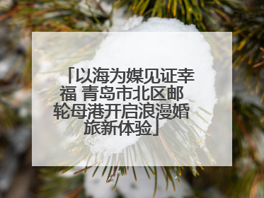 以海为媒见证幸福 青岛市北区邮轮母港开启浪漫婚旅新体验