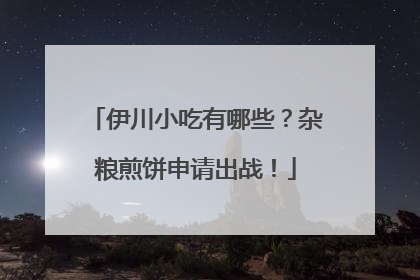 伊川小吃有哪些？杂粮煎饼申请出战！